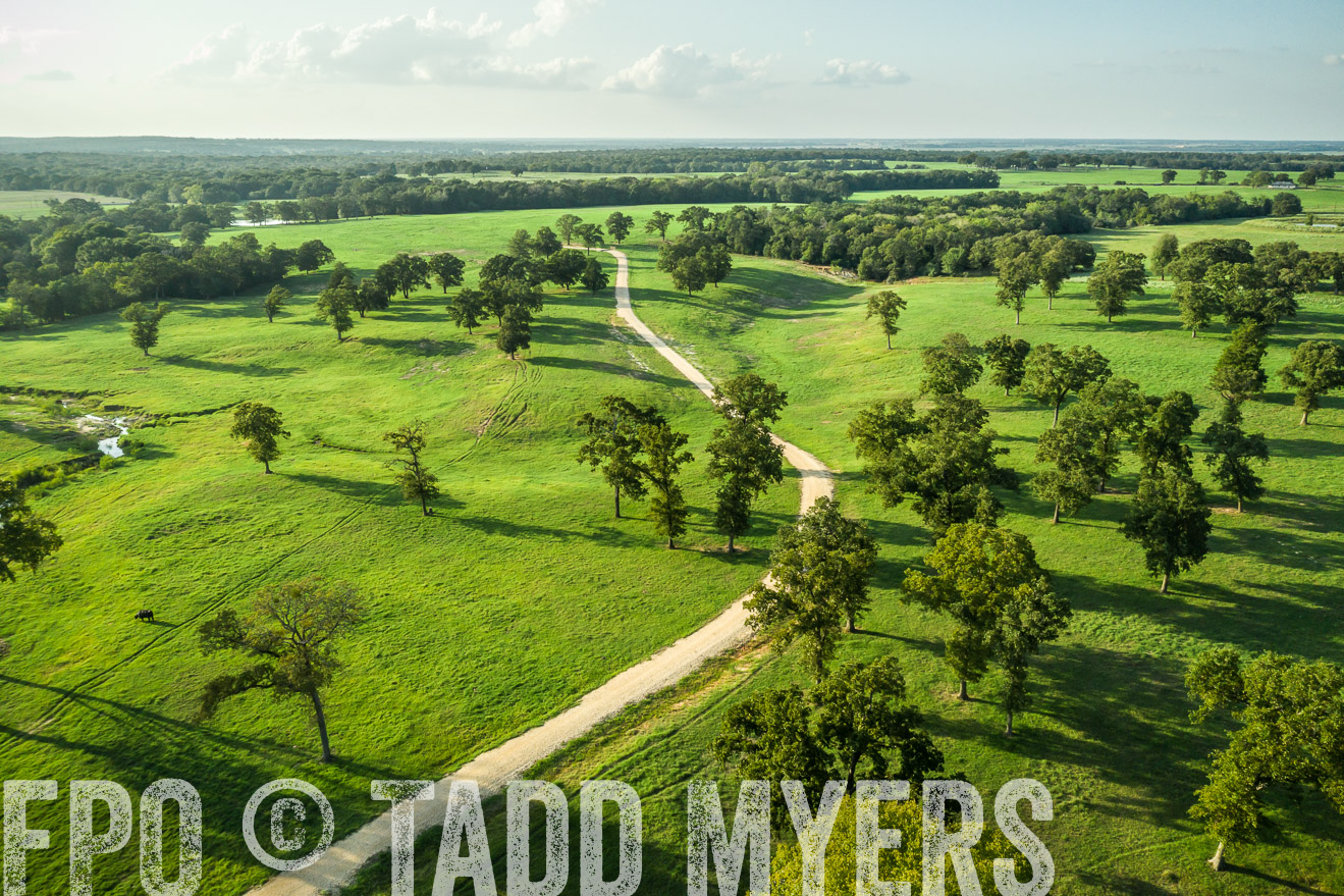 44Farms_CameronTX_Sept2020-0347
