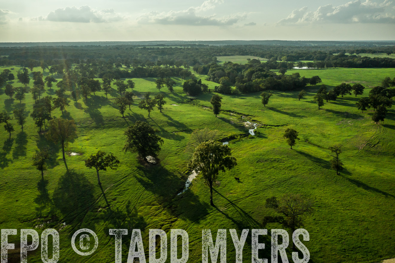 44Farms_CameronTX_Sept2020-0354