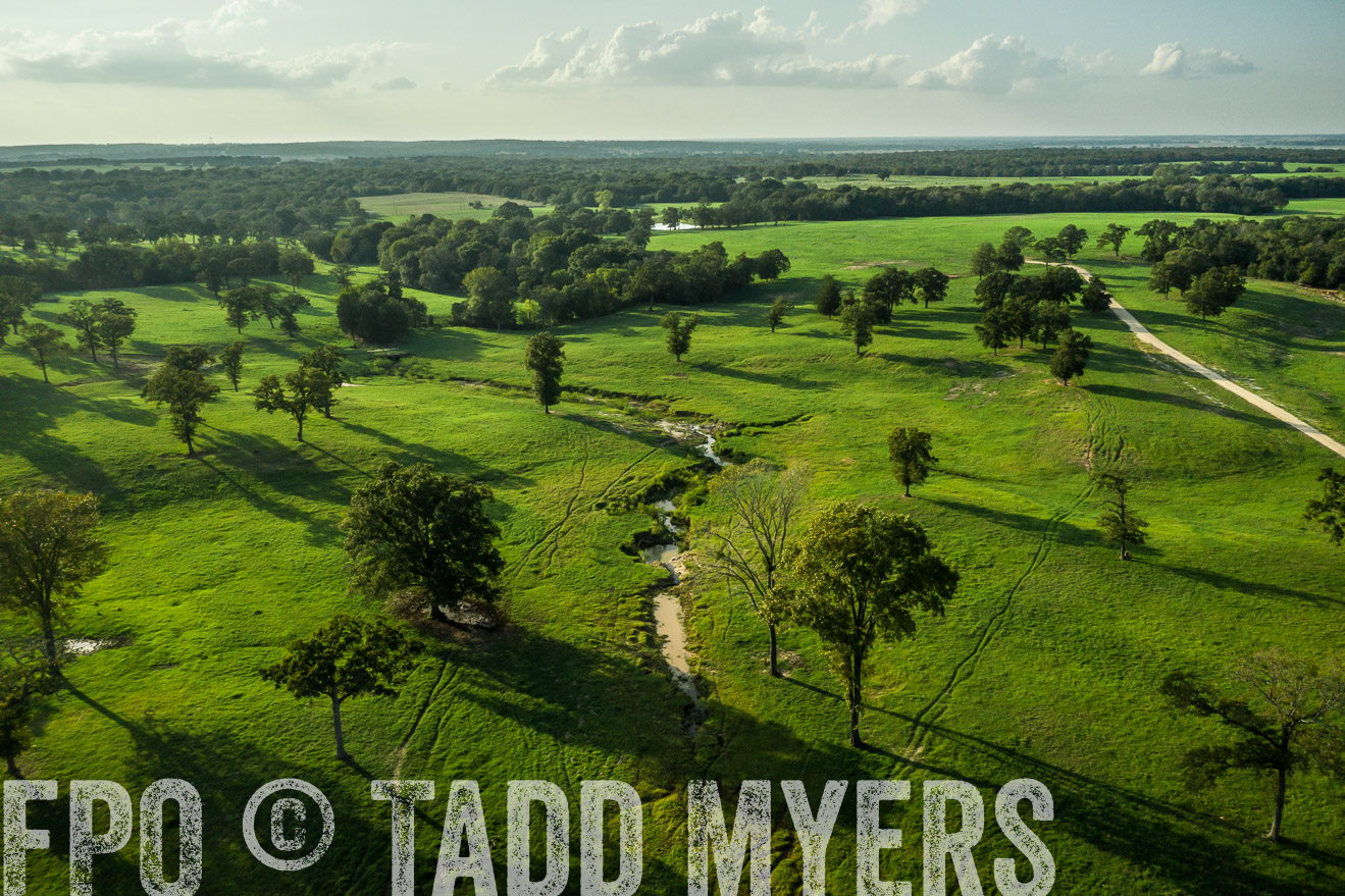 44Farms_CameronTX_Sept2020-0357