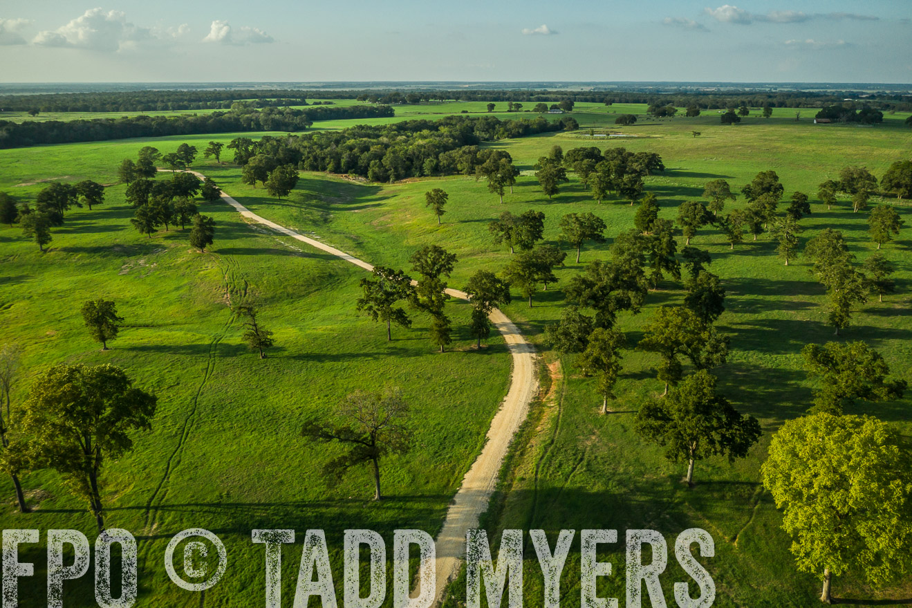 44Farms_CameronTX_Sept2020-0360