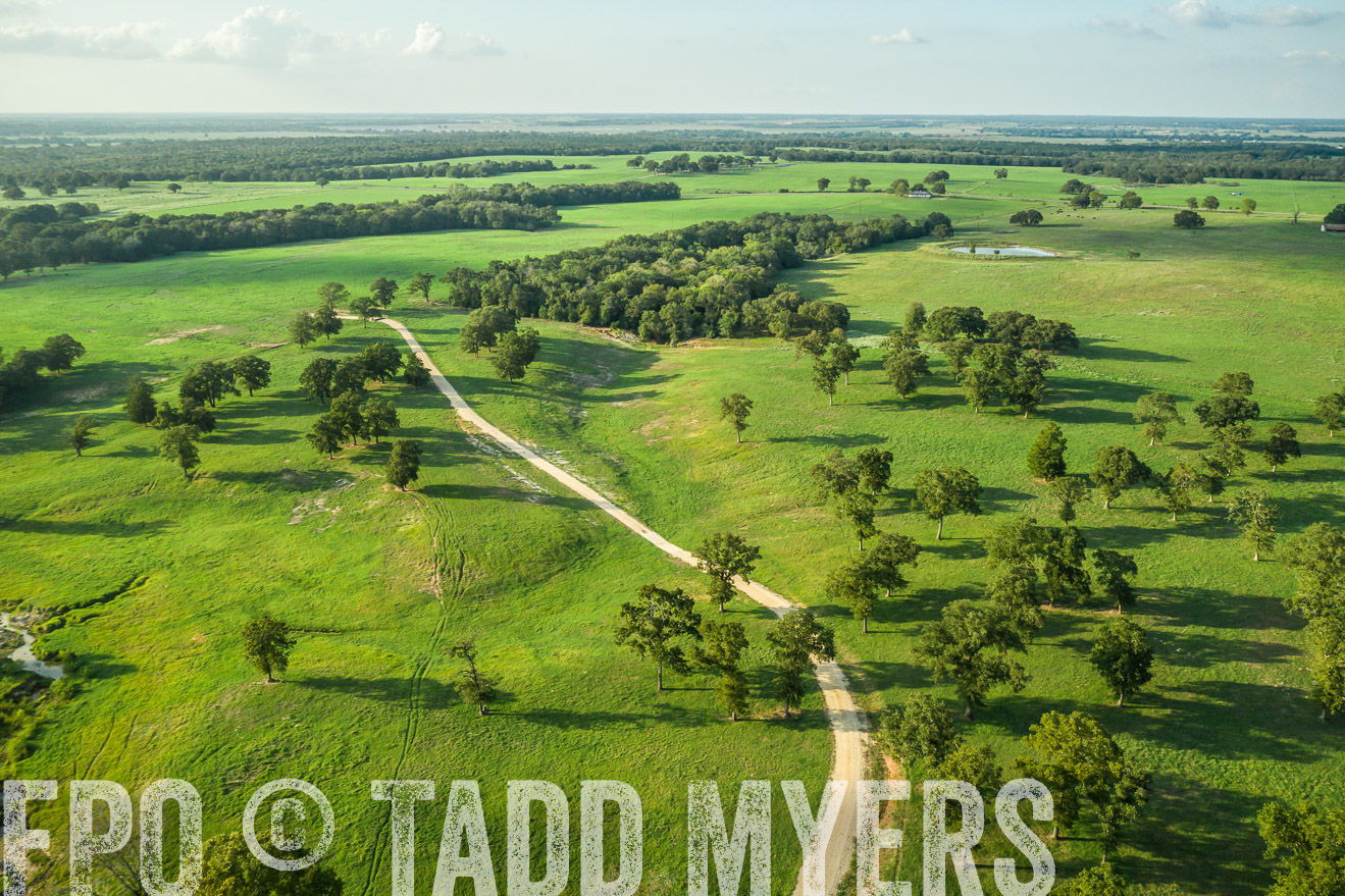 44Farms_CameronTX_Sept2020-0362