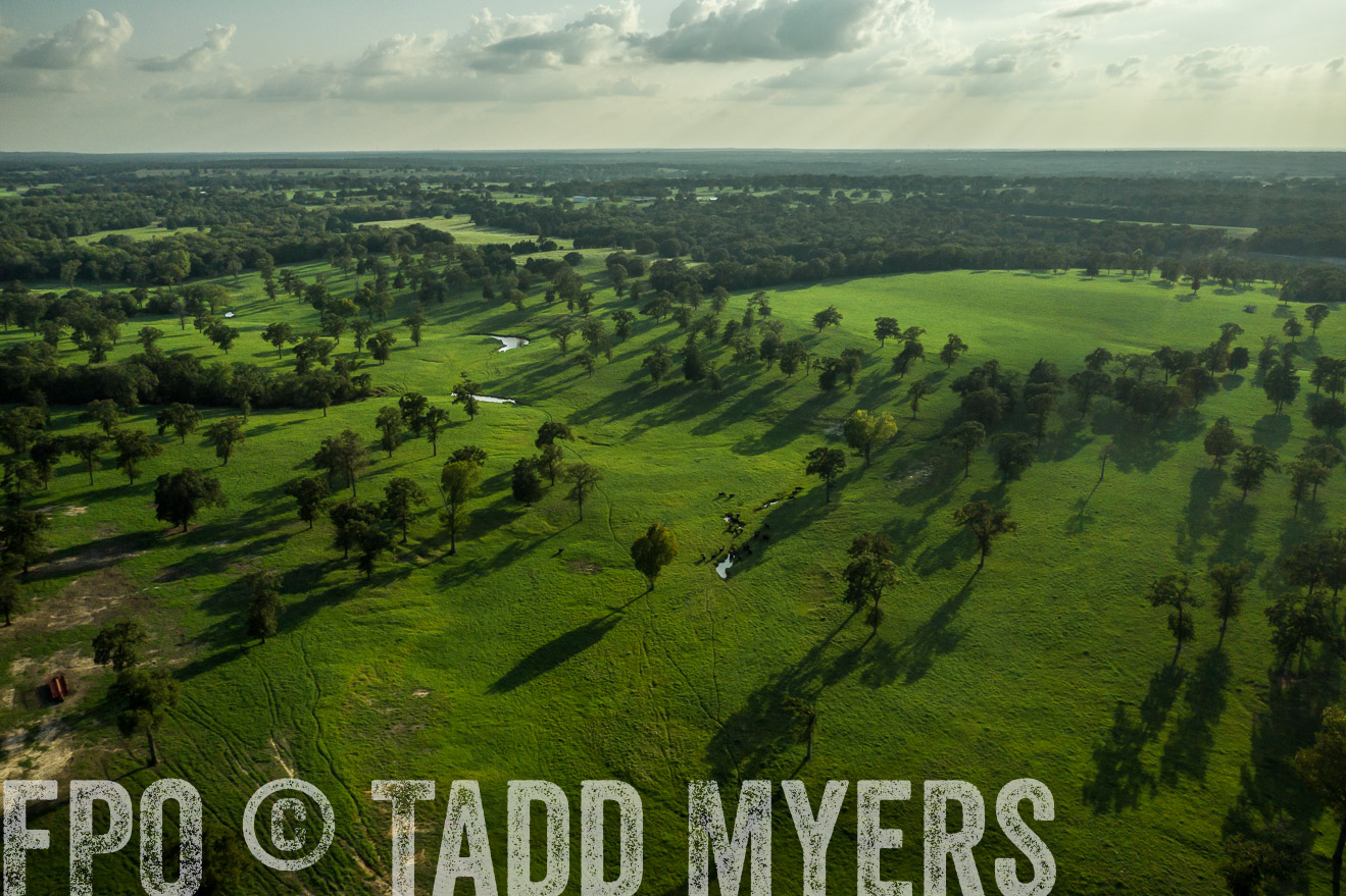 44Farms_CameronTX_Sept2020-0375
