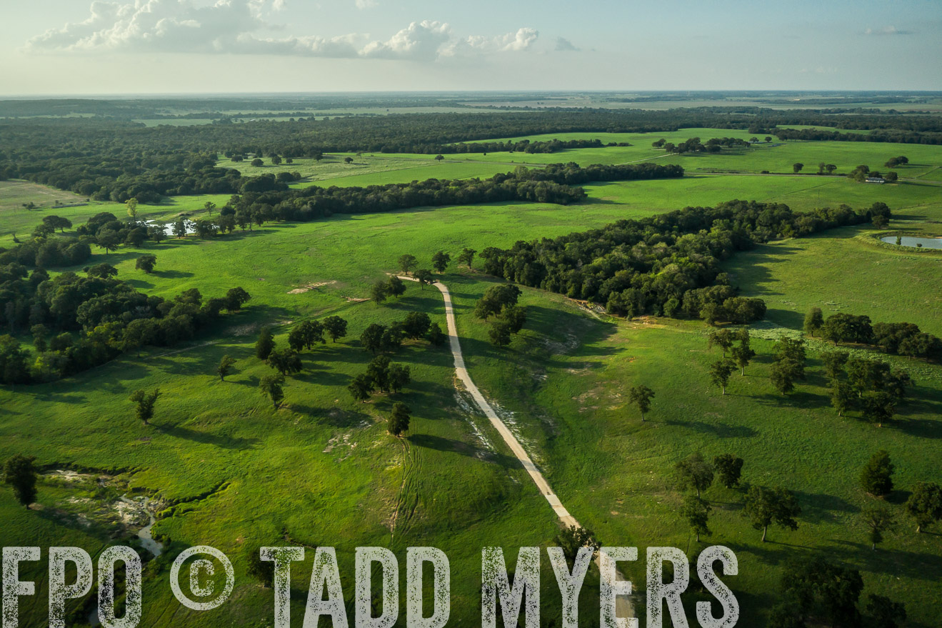 44Farms_CameronTX_Sept2020-0384