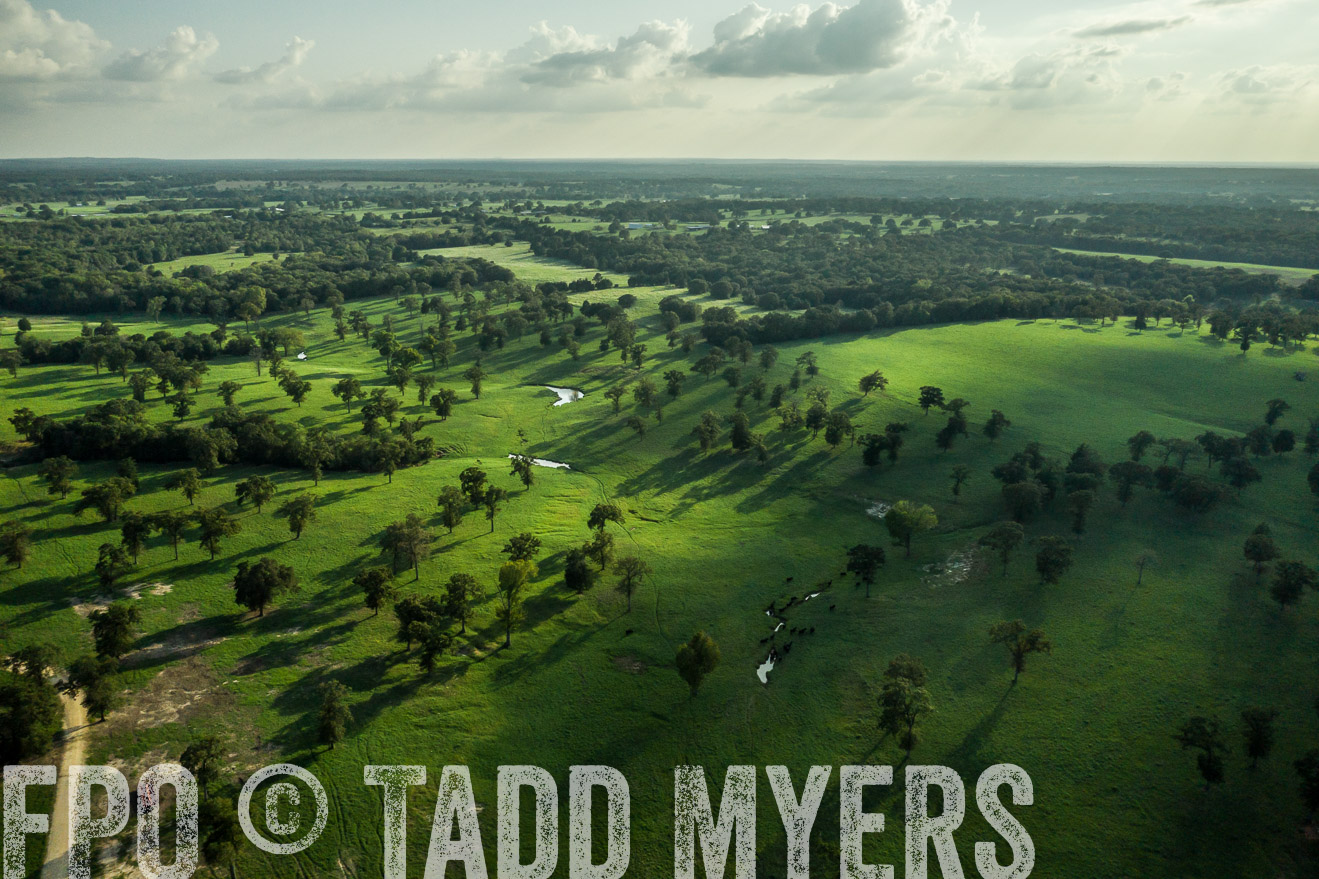 44Farms_CameronTX_Sept2020-0387
