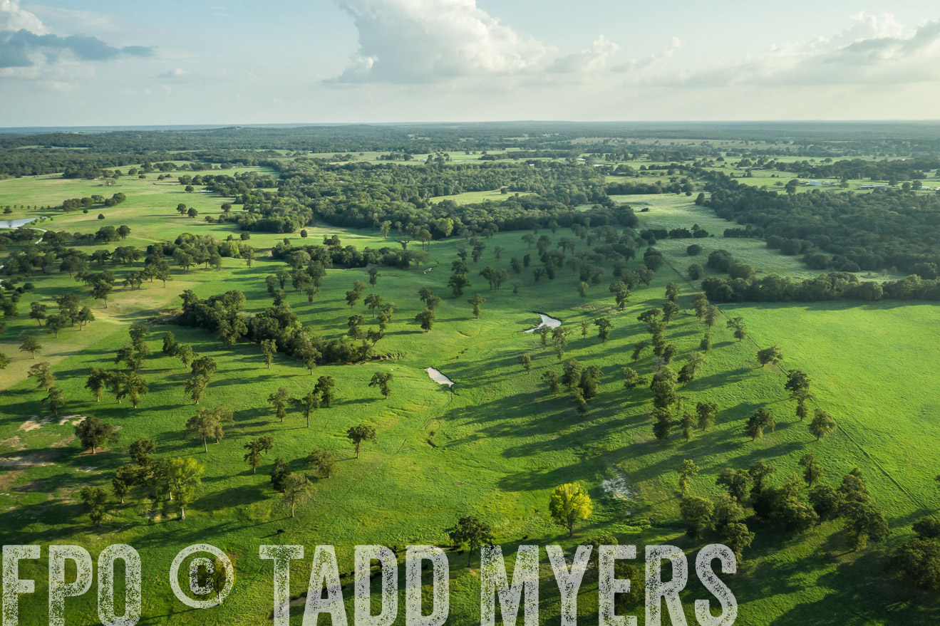 44Farms_CameronTX_Sept2020-0398