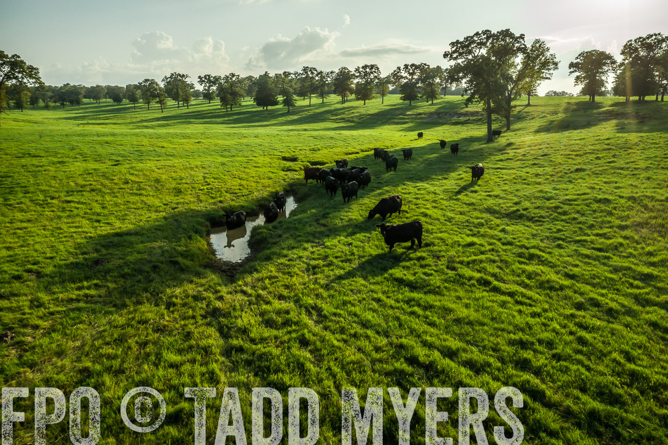 44Farms_CameronTX_Sept2020-0432