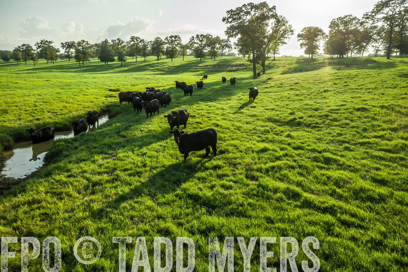 44Farms_CameronTX_Sept2020-0434