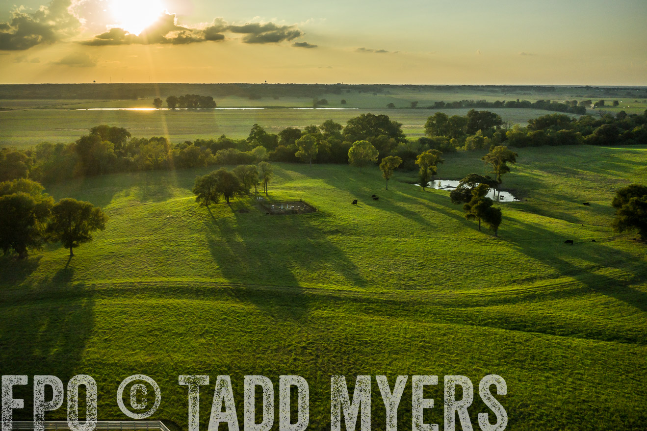 44Farms_CameronTX_Sept2020-0438