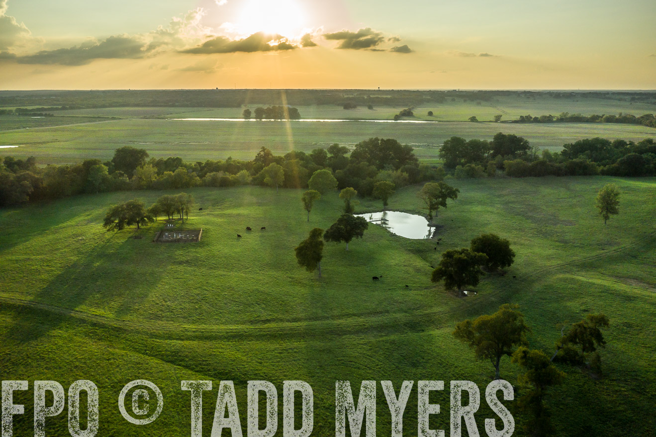 44Farms_CameronTX_Sept2020-0446