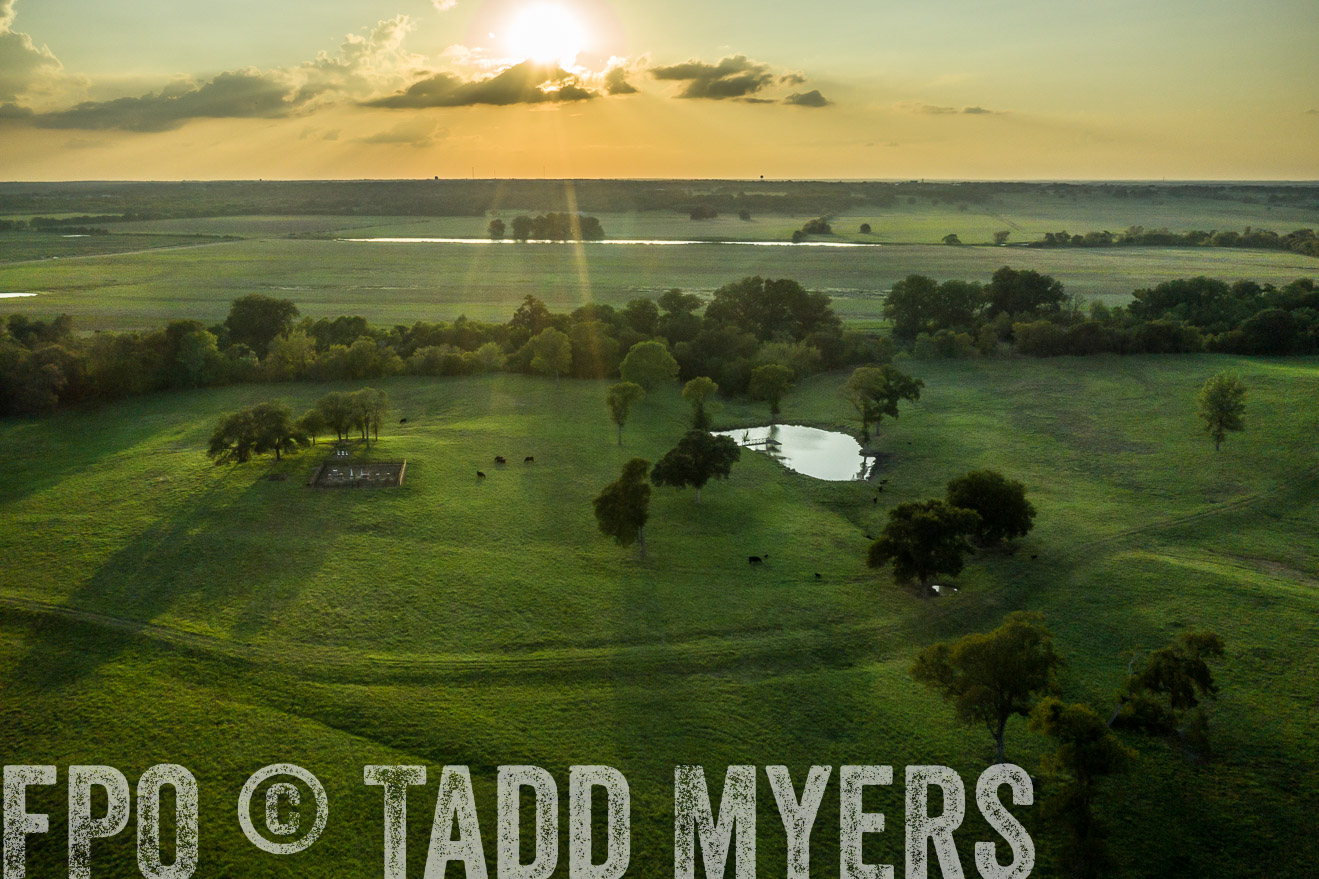 44Farms_CameronTX_Sept2020-0447