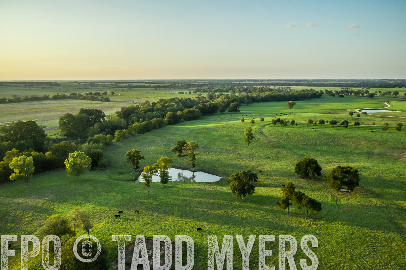 44Farms_CameronTX_Sept2020-0467