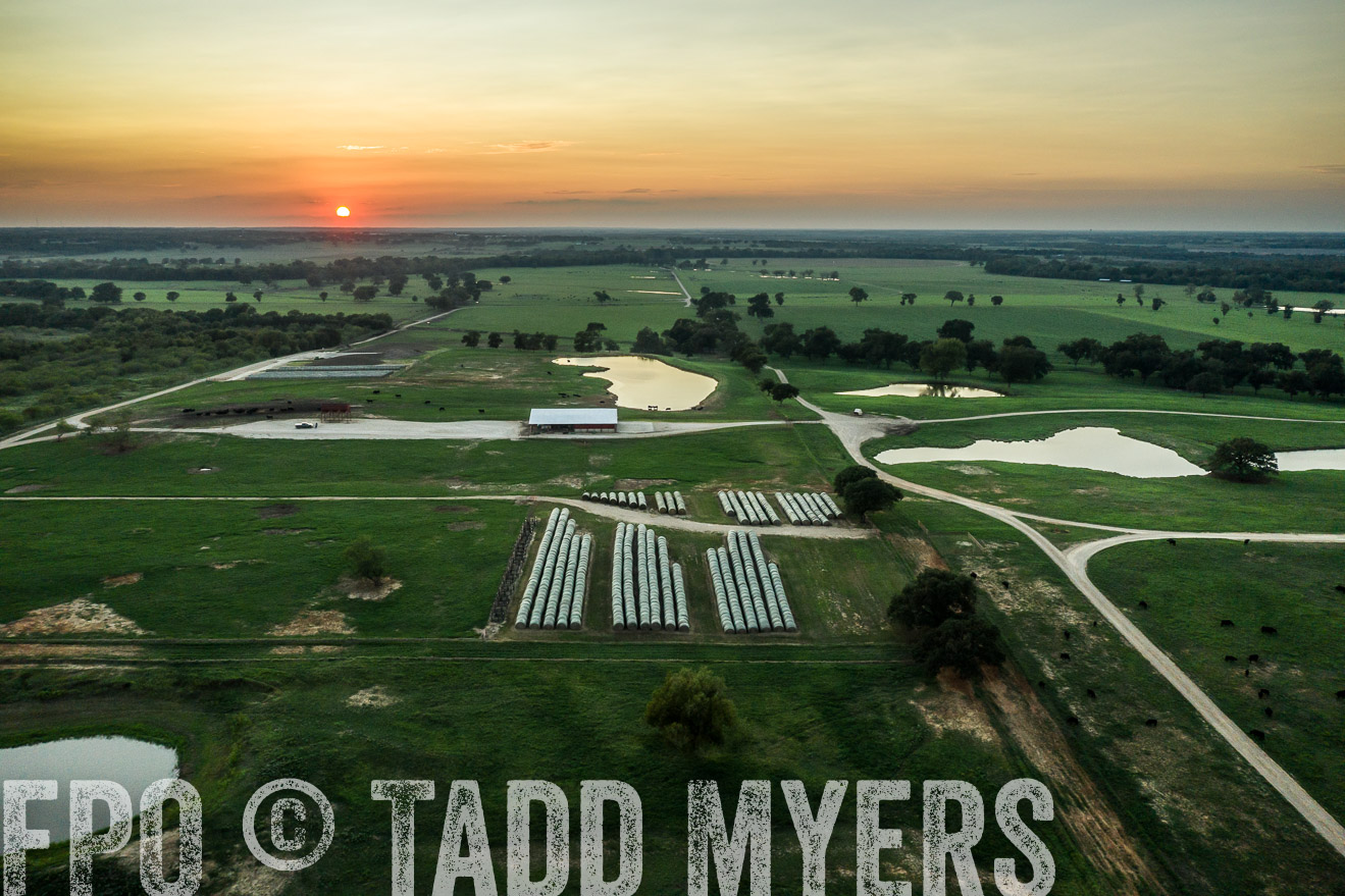 44Farms_CameronTX_Sept2020-0563