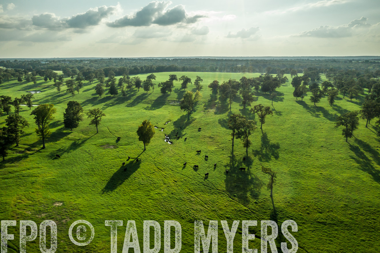 44Farms_CameronTX_Sept2020-0297