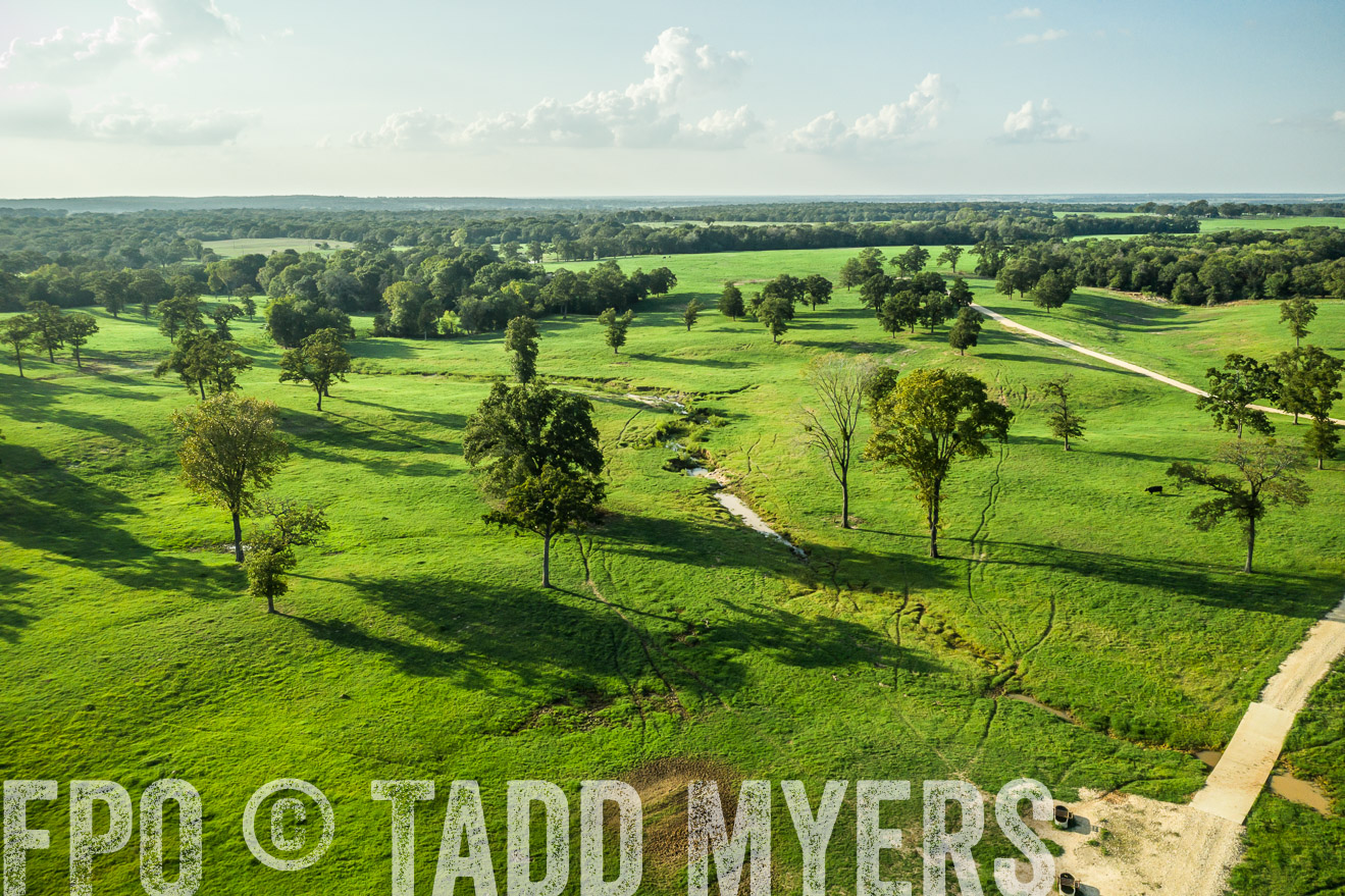 44Farms_CameronTX_Sept2020-0300