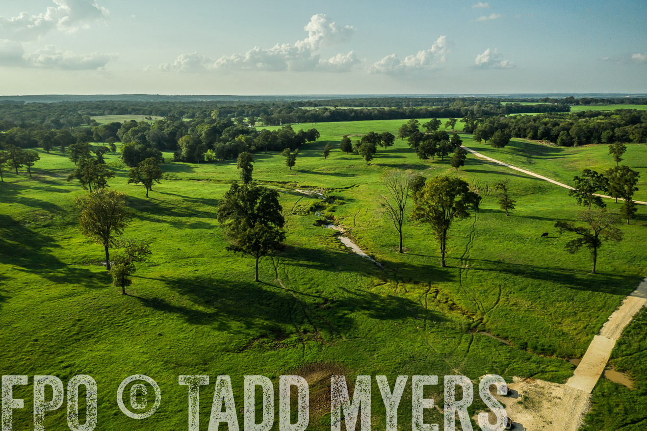 44Farms_CameronTX_Sept2020-0303