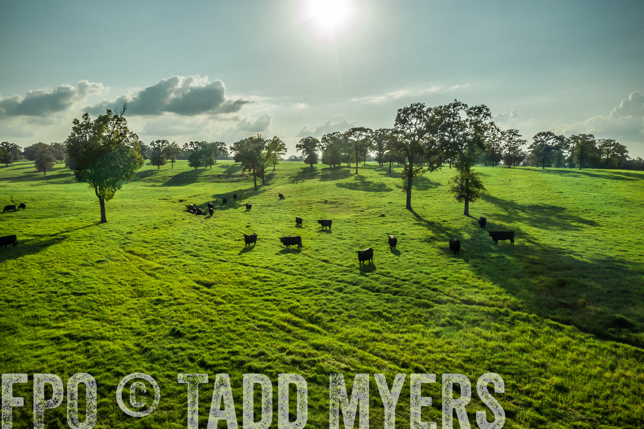 44Farms_CameronTX_Sept2020-0308
