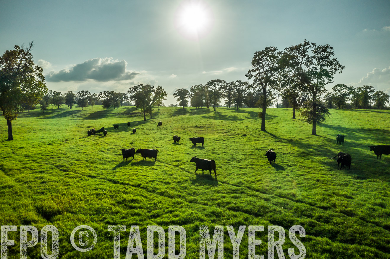 44Farms_CameronTX_Sept2020-0314