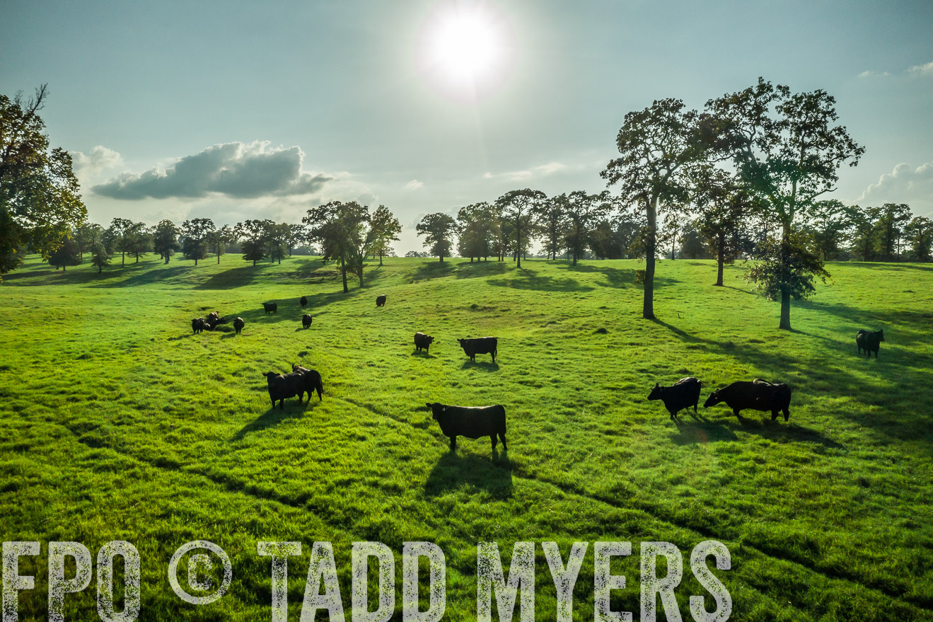 44Farms_CameronTX_Sept2020-0317