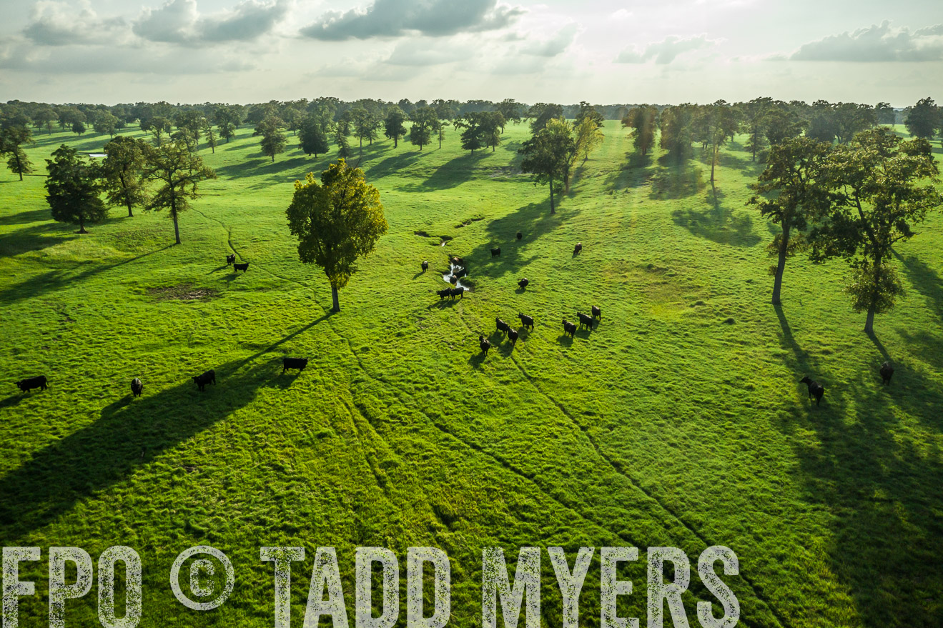44Farms_CameronTX_Sept2020-0323