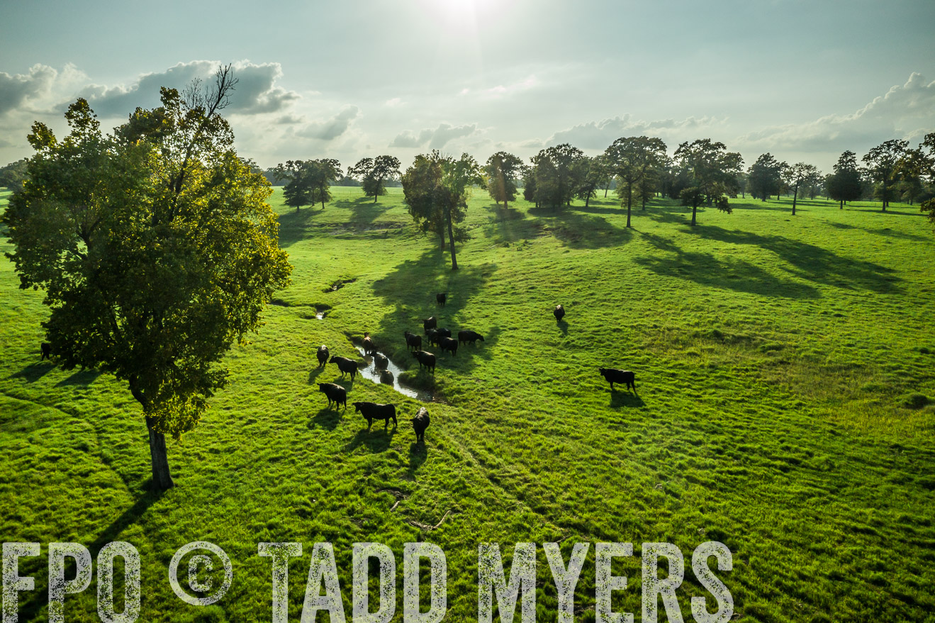 44Farms_CameronTX_Sept2020-0329
