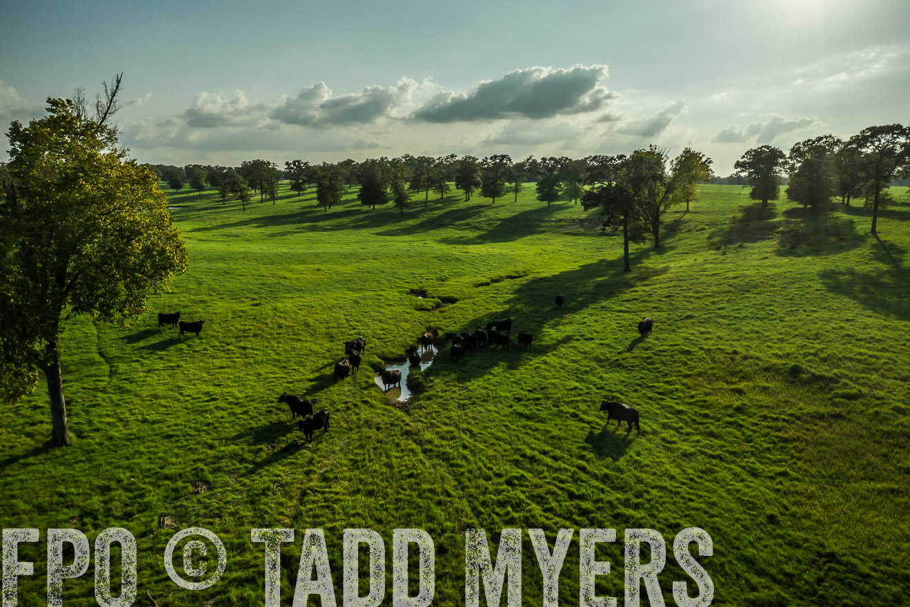 44Farms_CameronTX_Sept2020-0336