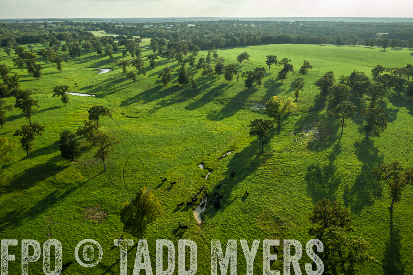 44Farms_CameronTX_Sept2020-0339