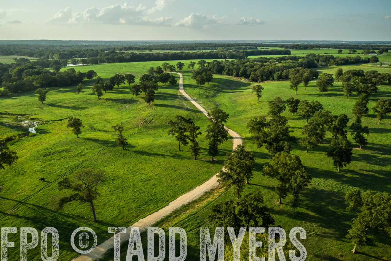 44Farms_CameronTX_Sept2020-0348
