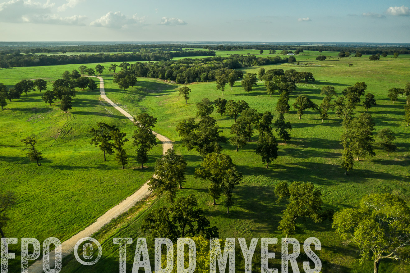 44Farms_CameronTX_Sept2020-0351