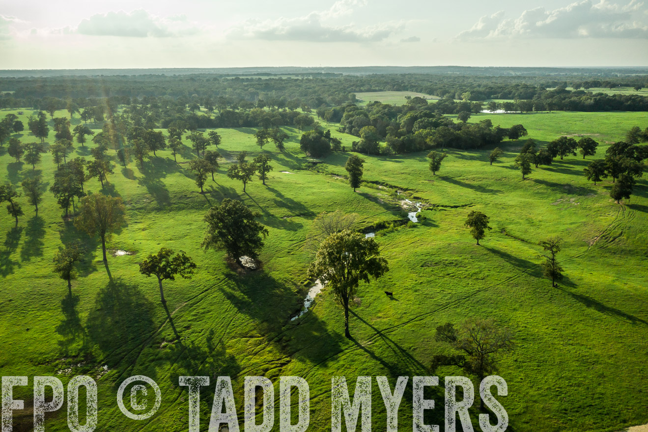 44Farms_CameronTX_Sept2020-0353