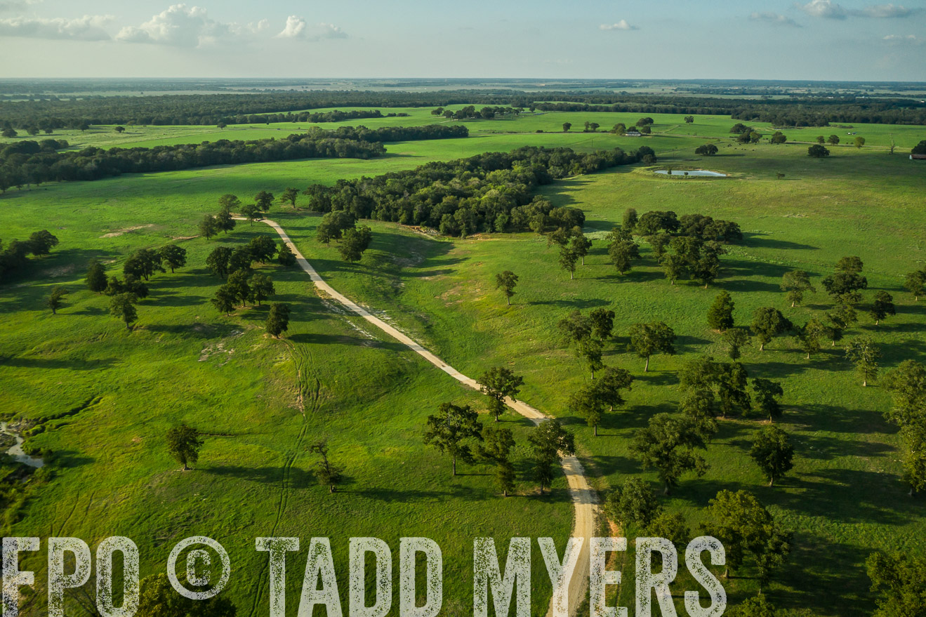 44Farms_CameronTX_Sept2020-0363