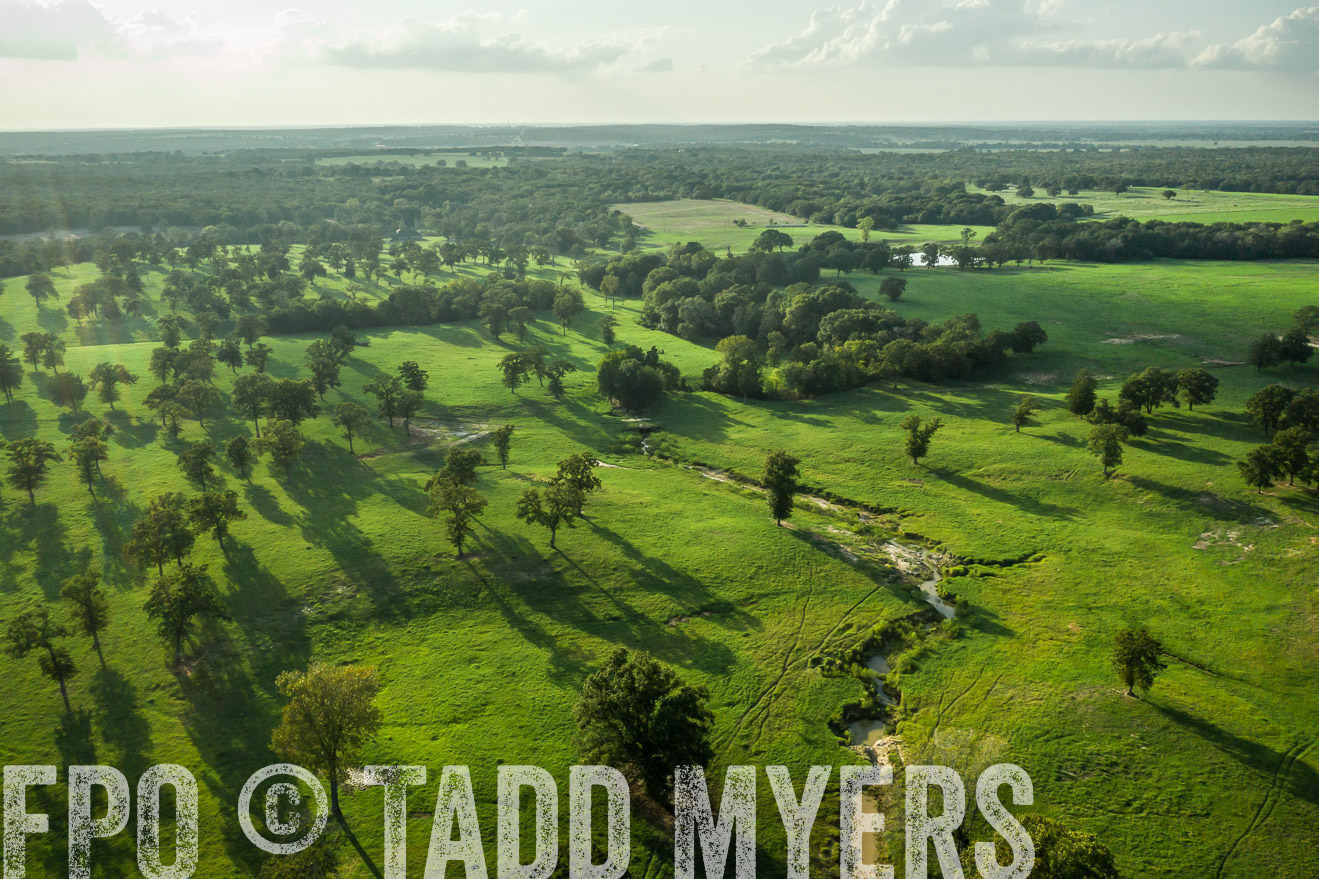 44Farms_CameronTX_Sept2020-0368
