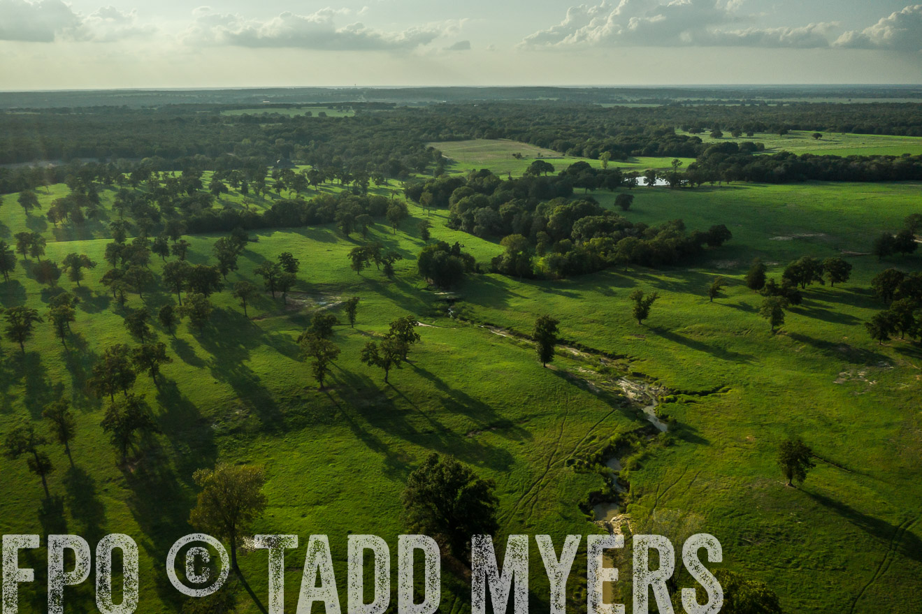 44Farms_CameronTX_Sept2020-0369