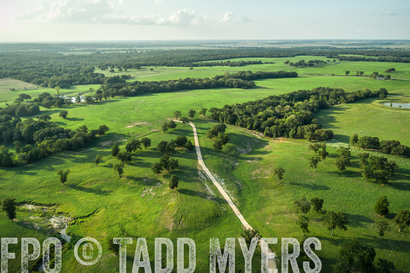 44Farms_CameronTX_Sept2020-0383