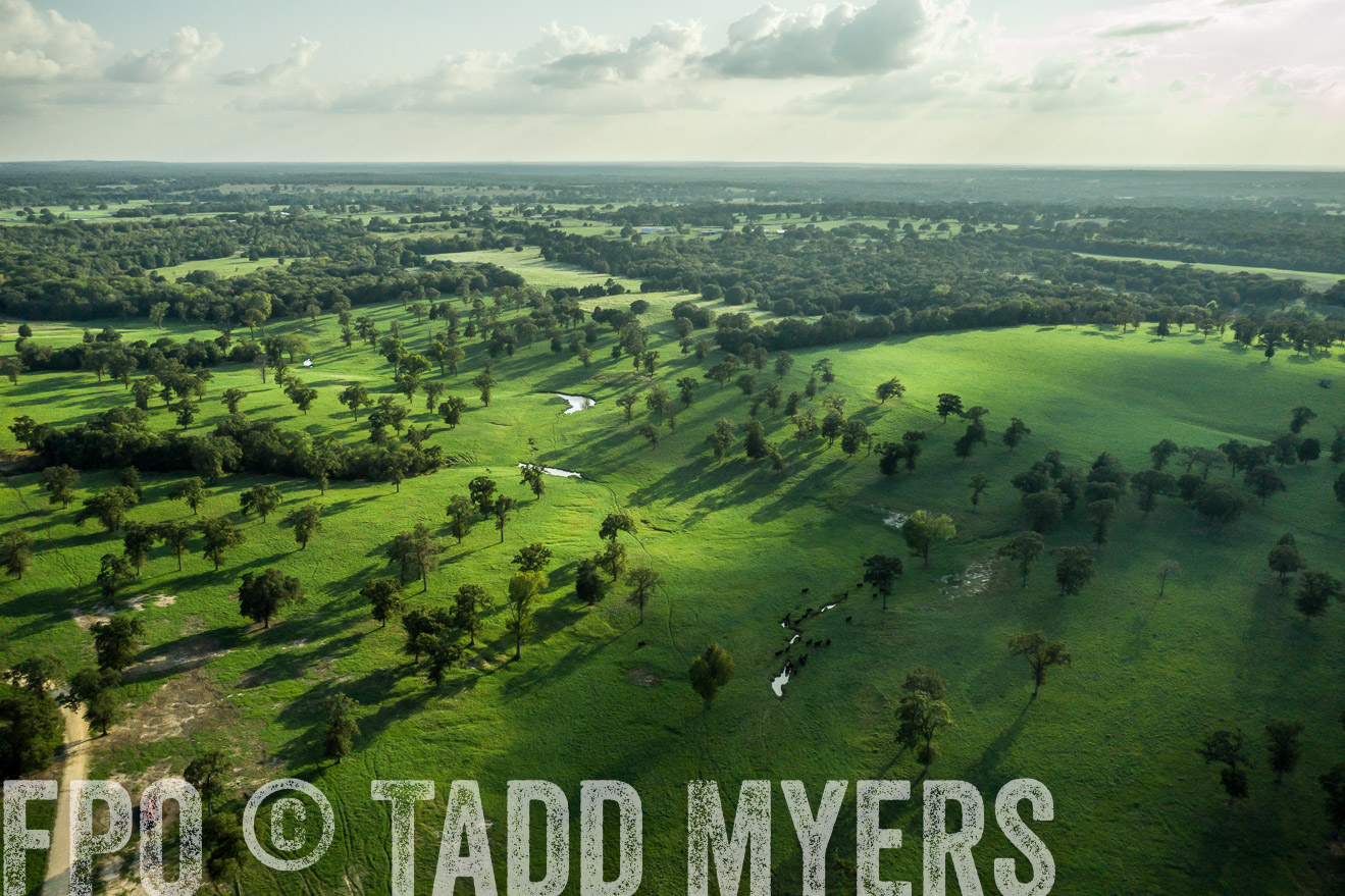 44Farms_CameronTX_Sept2020-0386