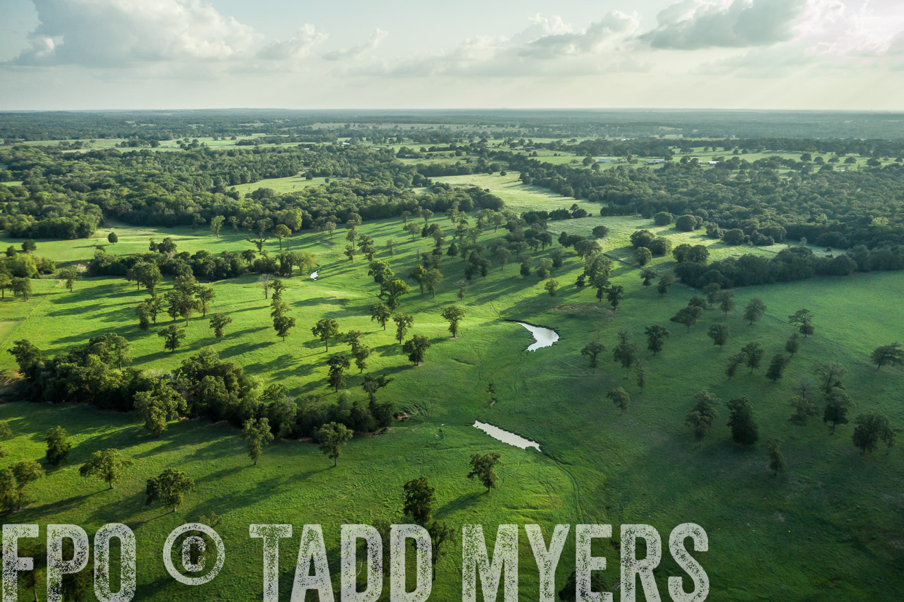44Farms_CameronTX_Sept2020-0389