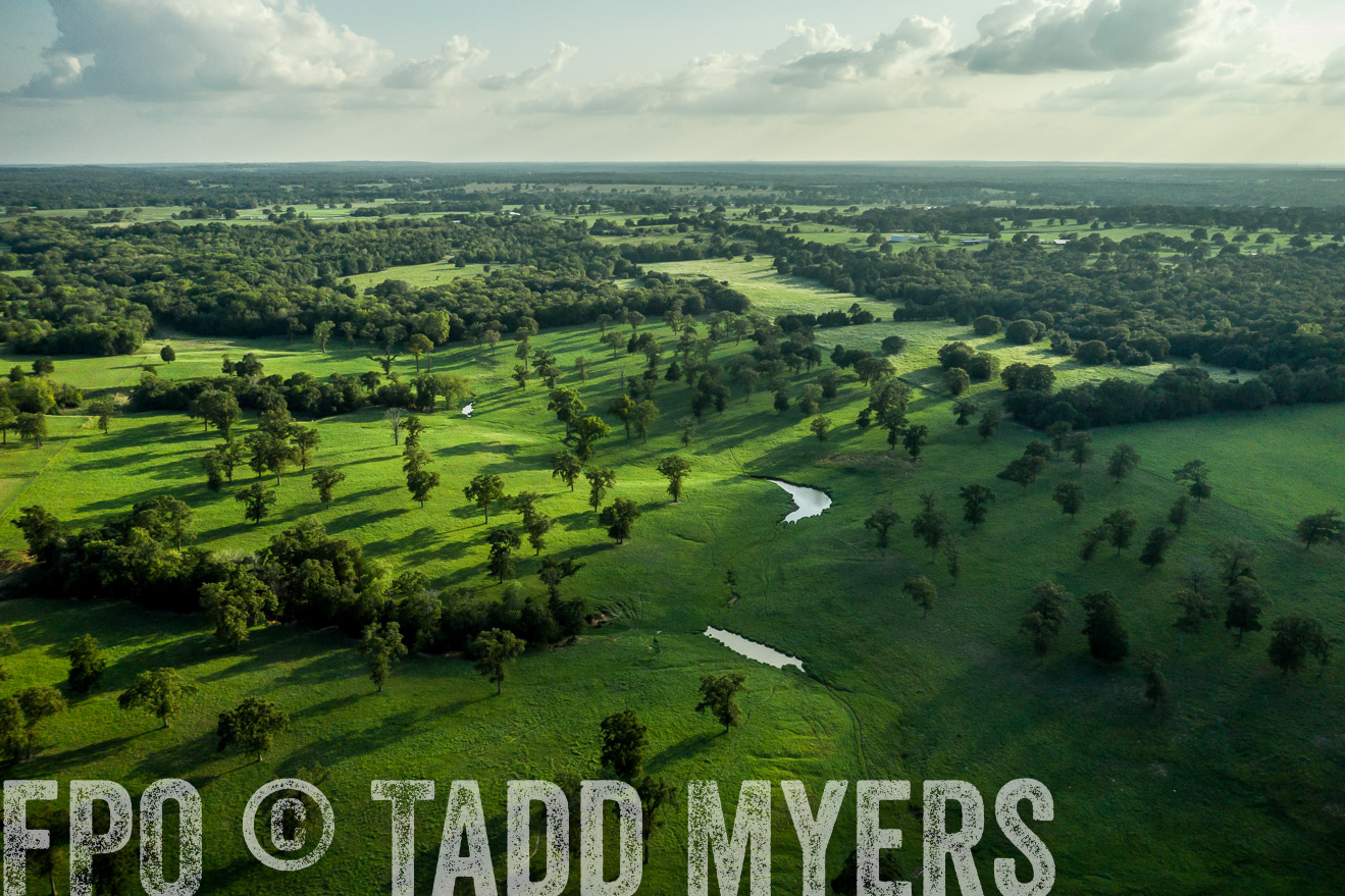 44Farms_CameronTX_Sept2020-0390