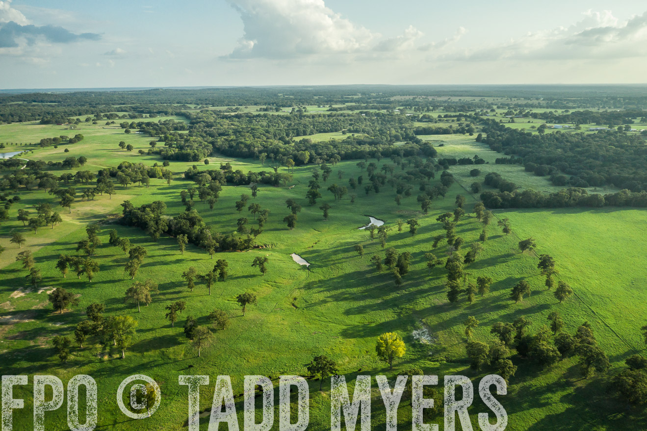 44Farms_CameronTX_Sept2020-0395