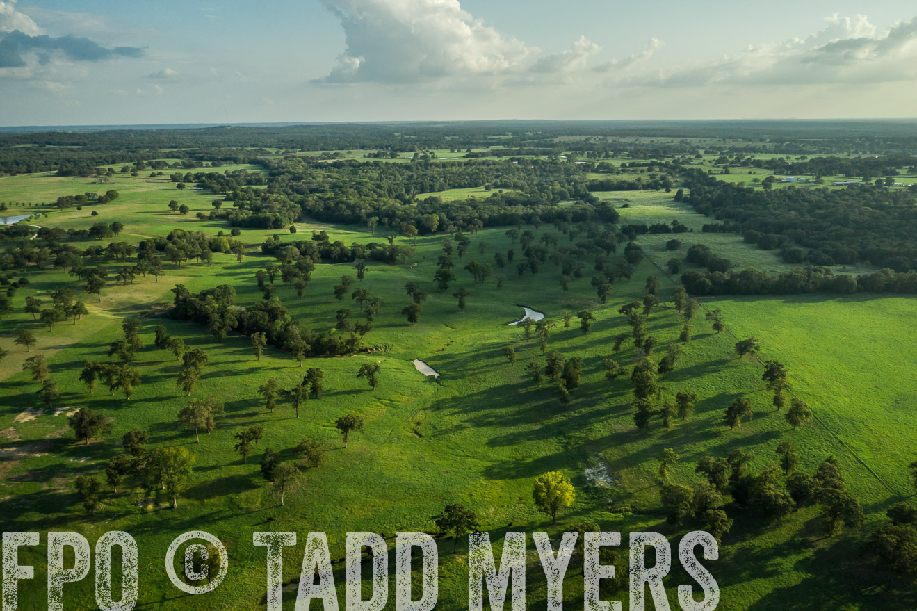 44Farms_CameronTX_Sept2020-0396