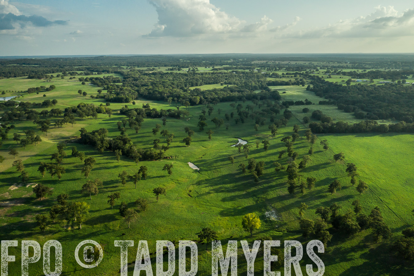44Farms_CameronTX_Sept2020-0399