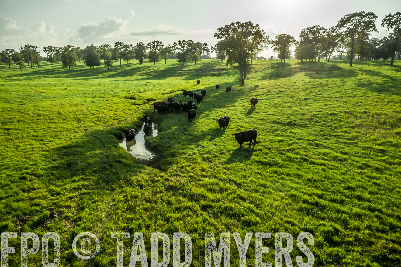 44Farms_CameronTX_Sept2020-0428