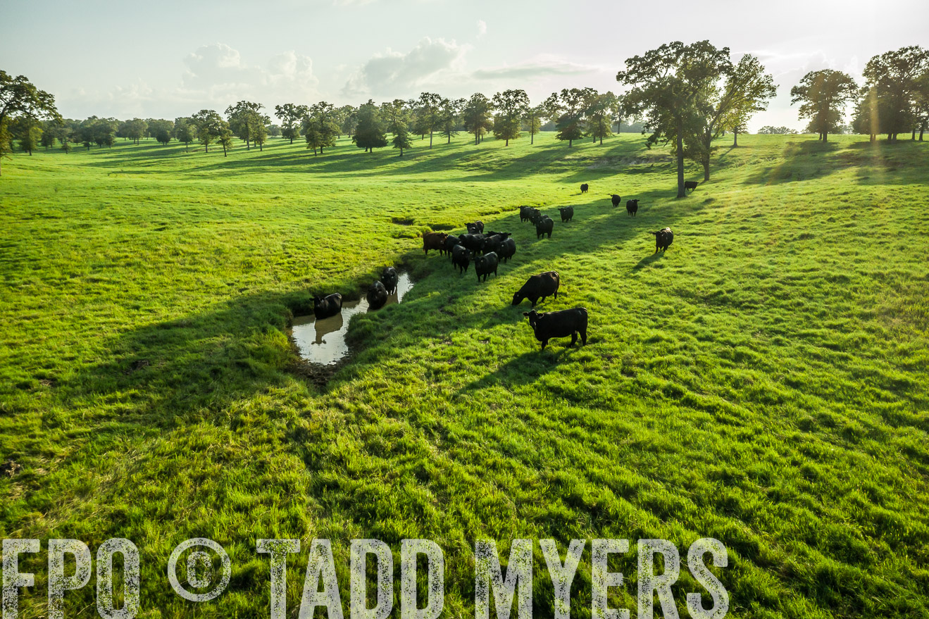 44Farms_CameronTX_Sept2020-0431