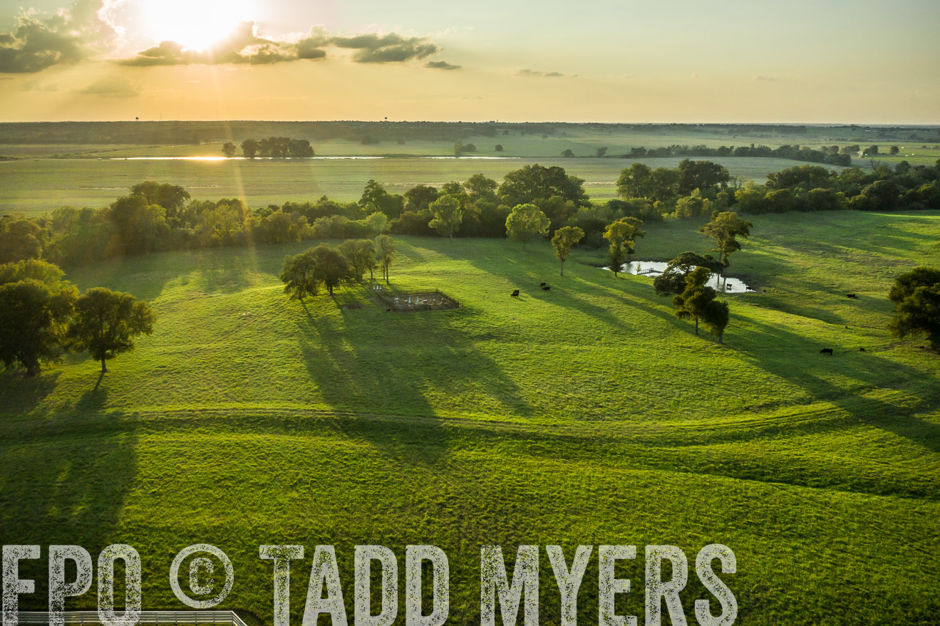 44Farms_CameronTX_Sept2020-0437