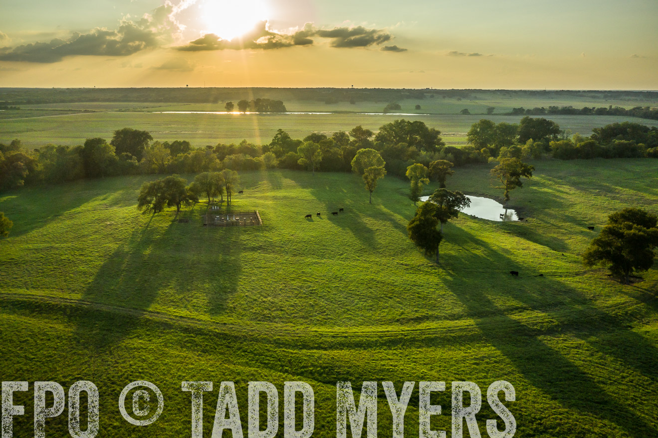 44Farms_CameronTX_Sept2020-0440