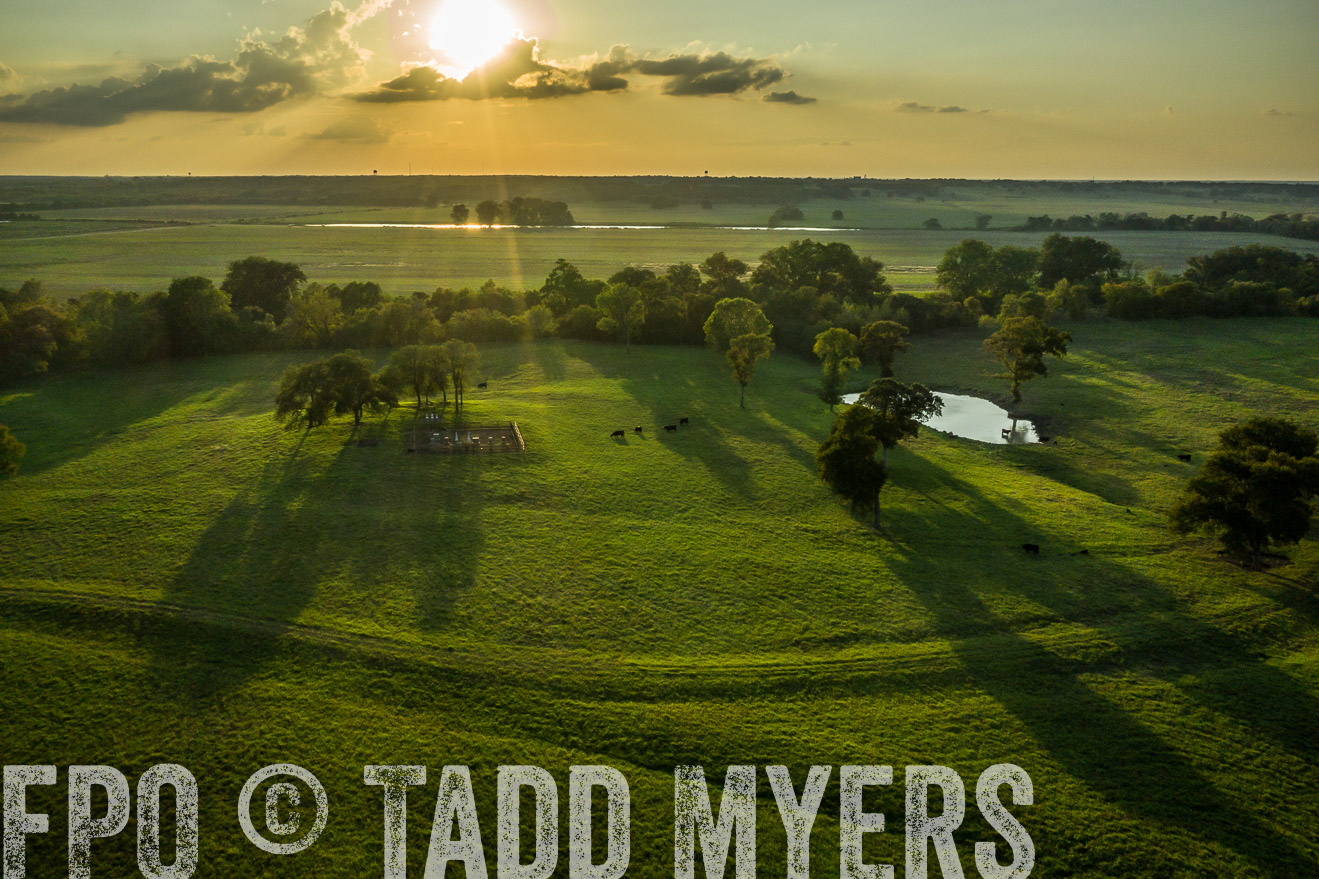 44Farms_CameronTX_Sept2020-0441