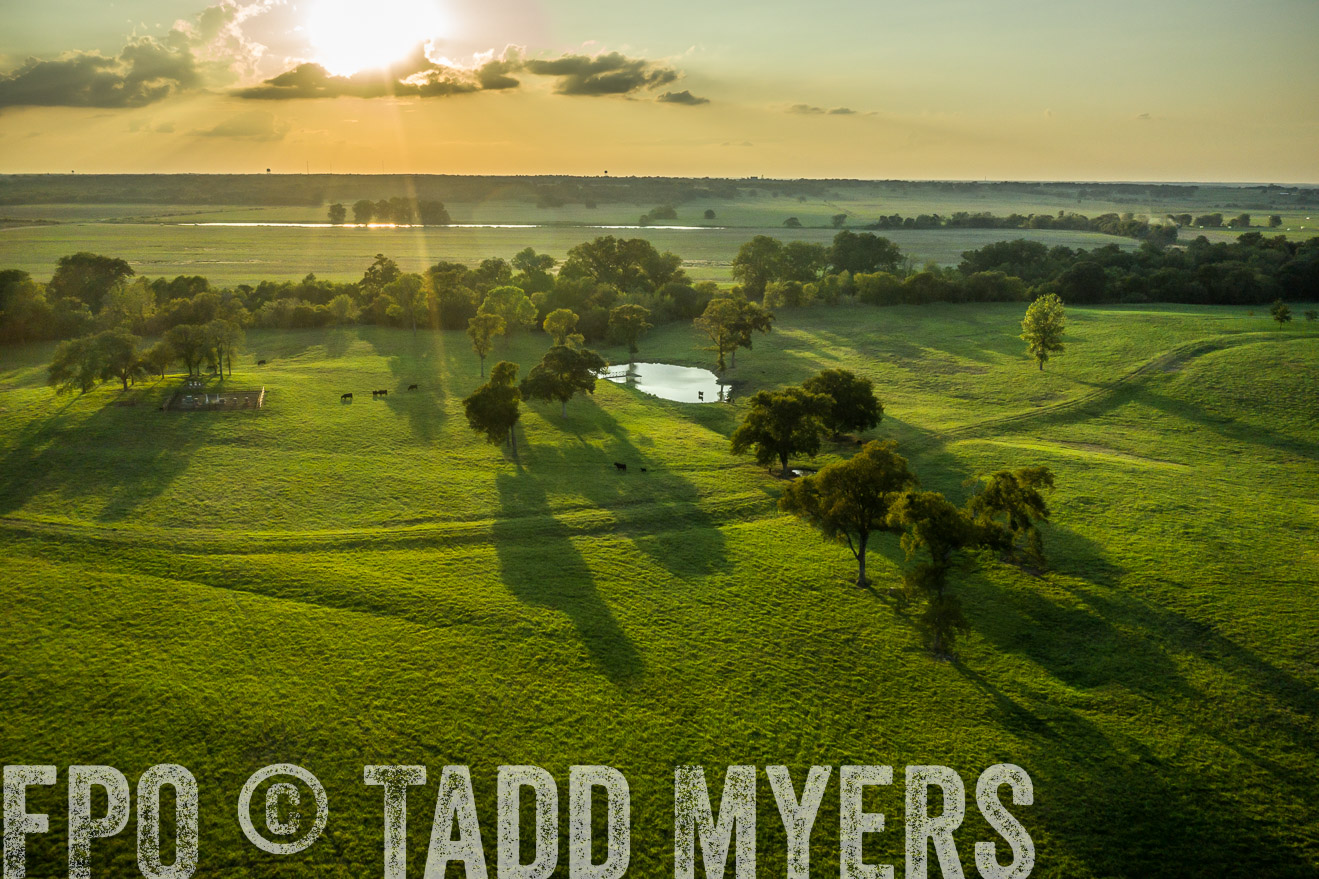 44Farms_CameronTX_Sept2020-0443