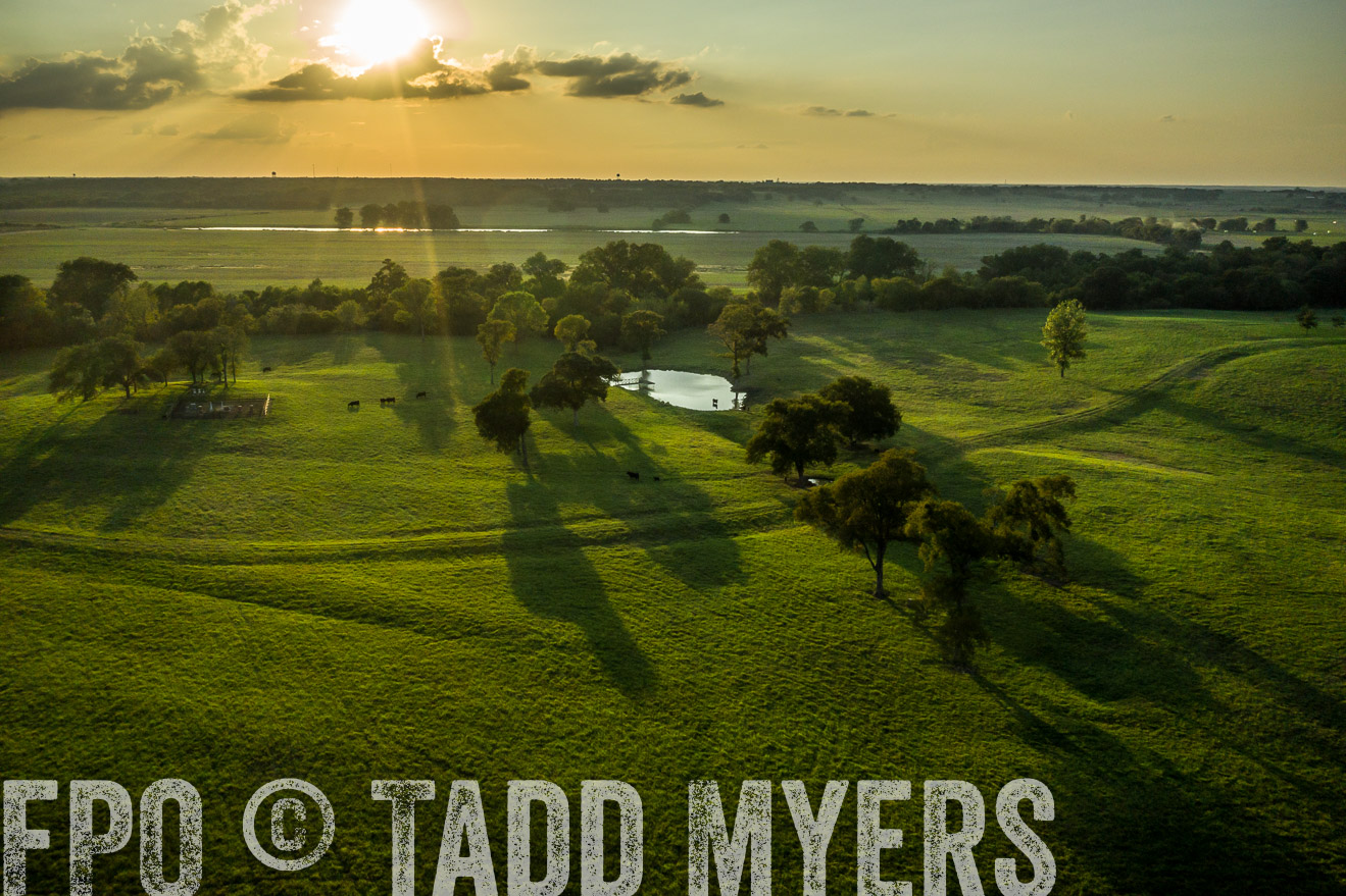 44Farms_CameronTX_Sept2020-0444