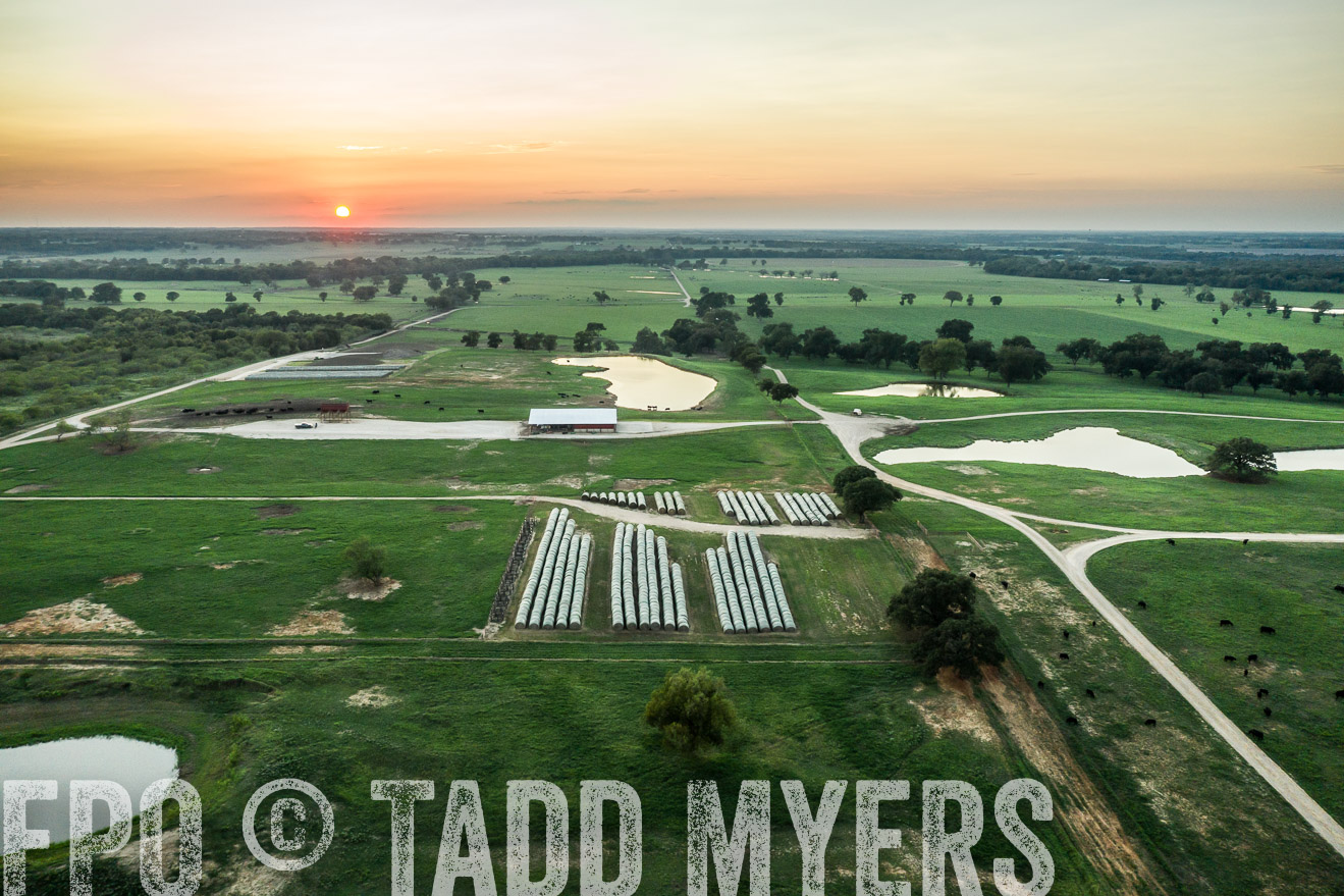 44Farms_CameronTX_Sept2020-0565