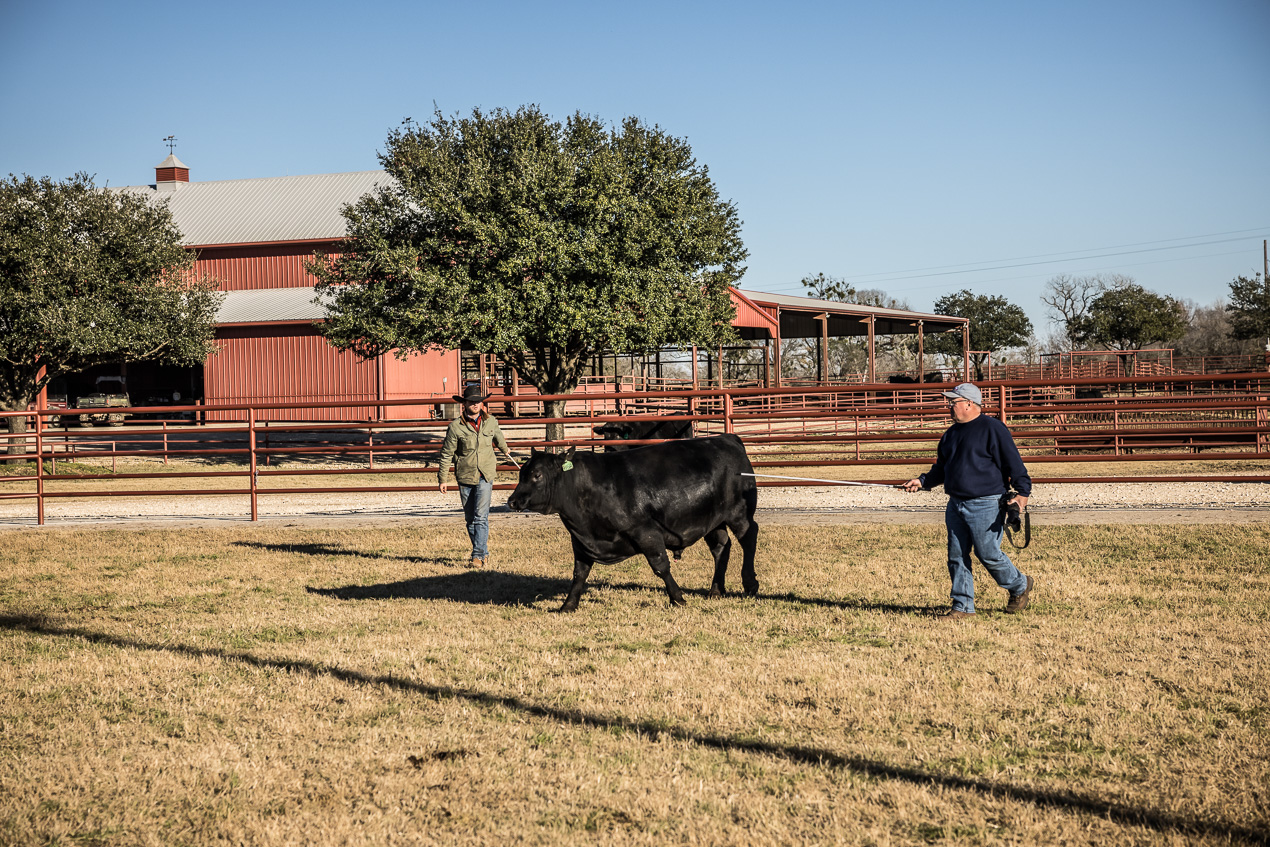 TMyers_44Farms_CameronTX_Dec2020-510681