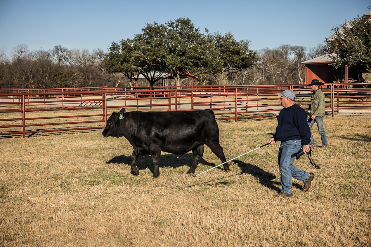 TMyers_44Farms_CameronTX_Dec2020-510694