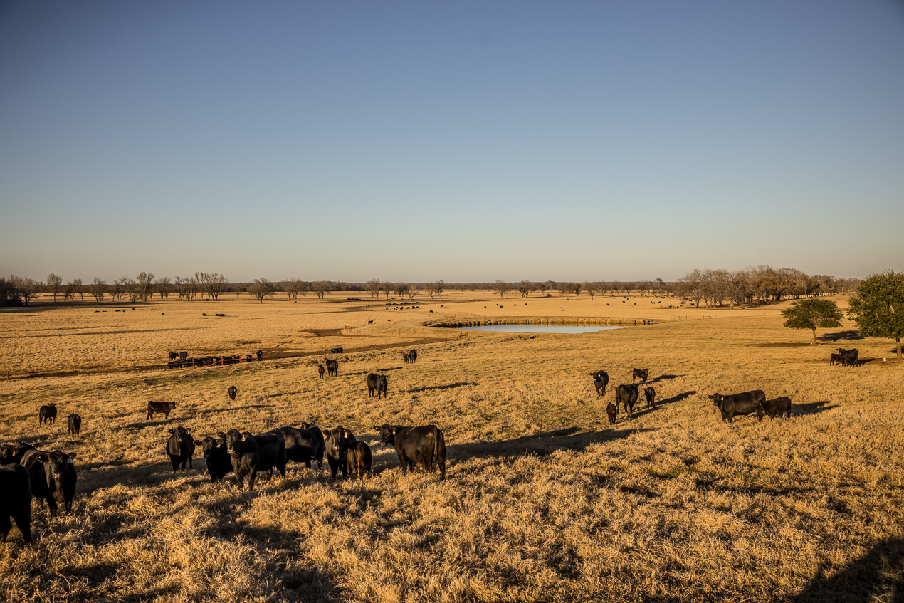 TMyers_44Farms_CameronTX_Dec2020-511400